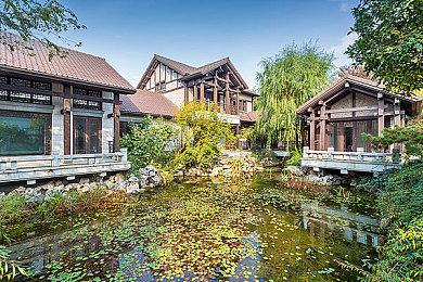 马里奥之父宫本茂：任天堂就像是一家艺人经纪公司